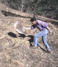 Cliquez pour agrandir l'image