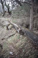 Cliquez pour agrandir l'image